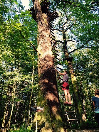 Park Linowy Opatowicka